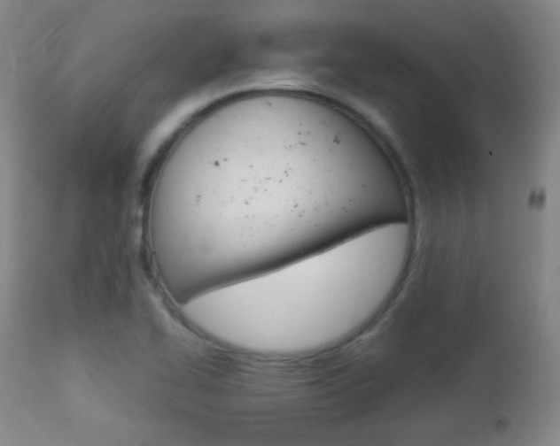 X0000112851414200908211020