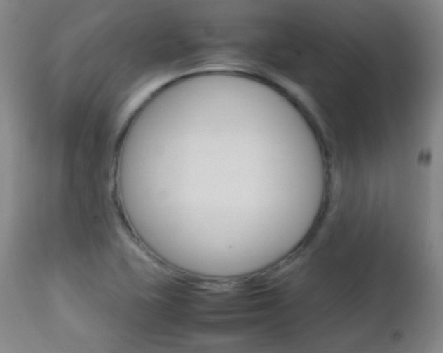X0000112851415200908211020