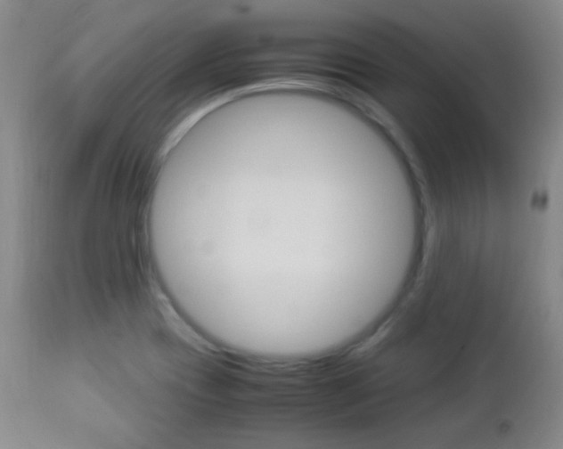 X0000112851417200908211020