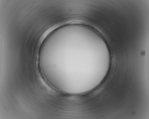 X0000112851418200908211020