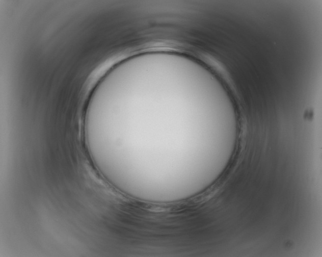 X0000112851419200908211020