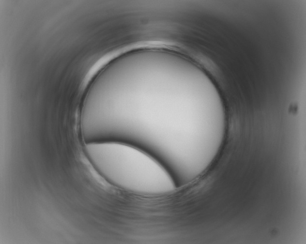 X0000112851420200908211020