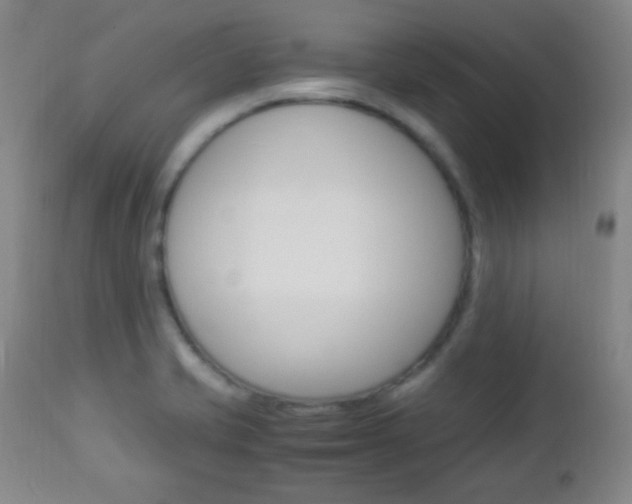 X0000112851421200908211020