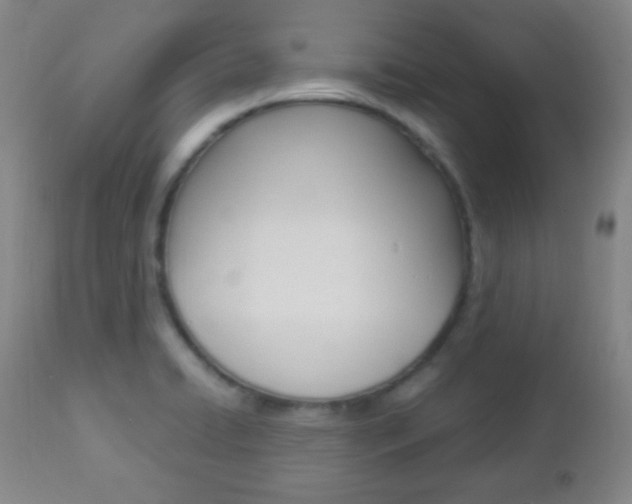 X0000112851422200908211020
