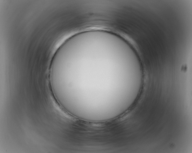 X0000112851423200908211020