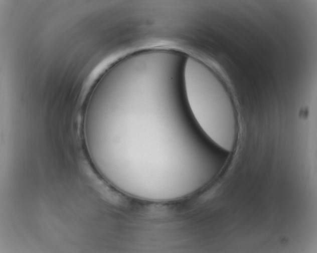 X0000112851424200908211020