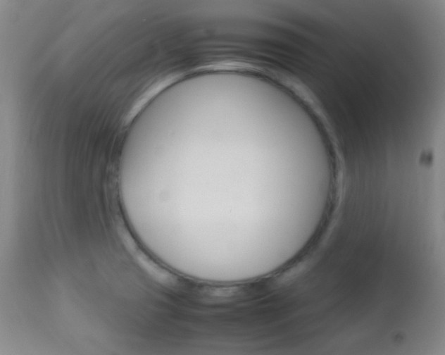 X0000112851425200908211020