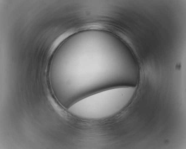 X0000112851426200908211020