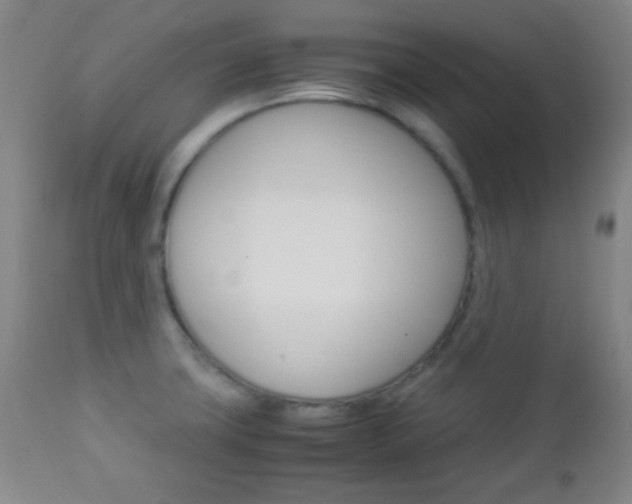 X0000112851427200908211020