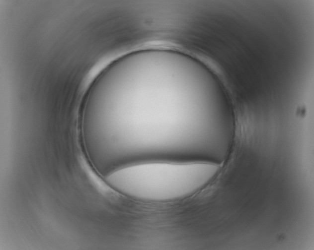 X0000112851430200908211020