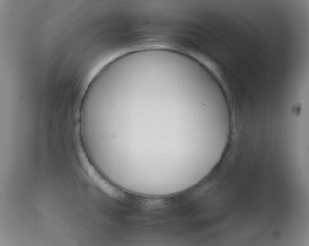 X0000112851431200908211020