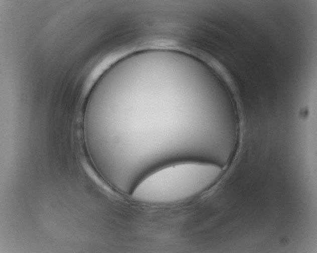 X0000112851432200908211020