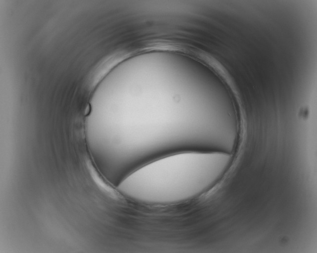 X0000112851433200908211020