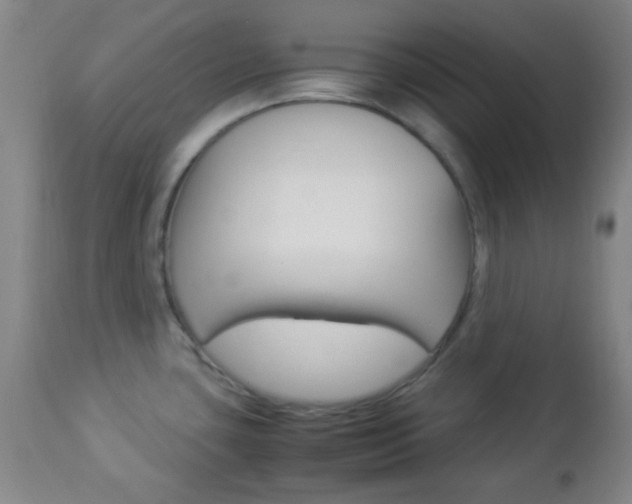 X0000112851435200908211020