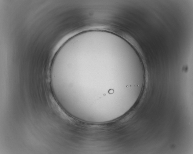 X0000112851436200908211020