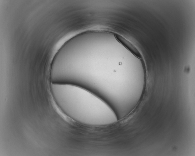 X0000112851437200908211020