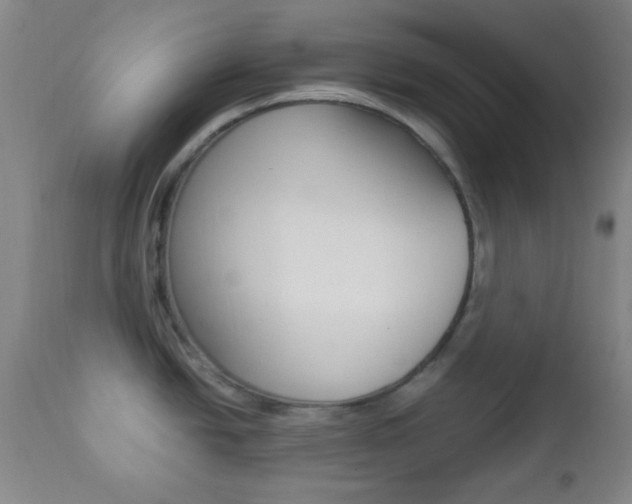 X0000112851438200908211020