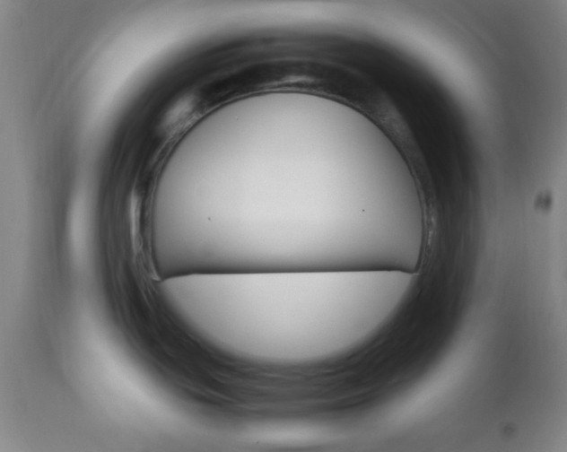X0000112851439200908211020