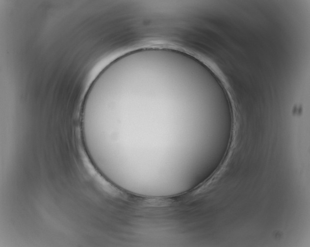 X0000112851440200908211020