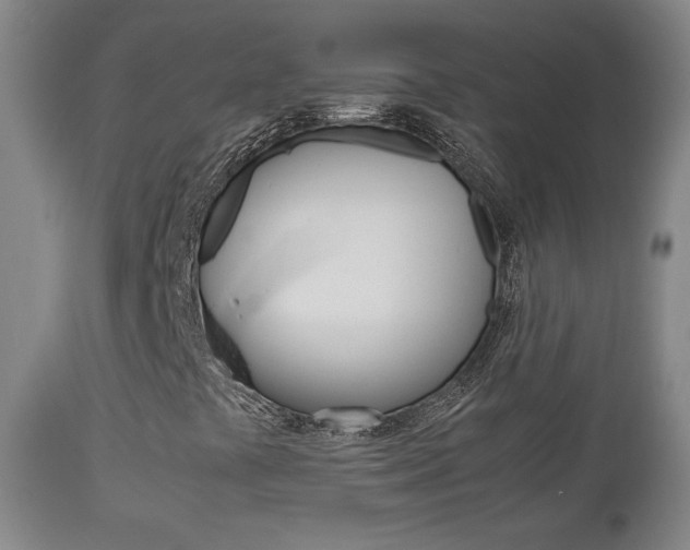 X0000112851441200908211019