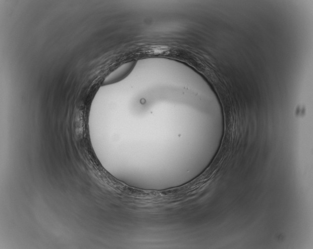 X0000112851442200908211019