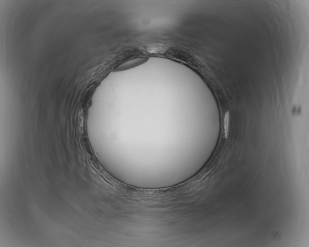 X0000112851443200908211019