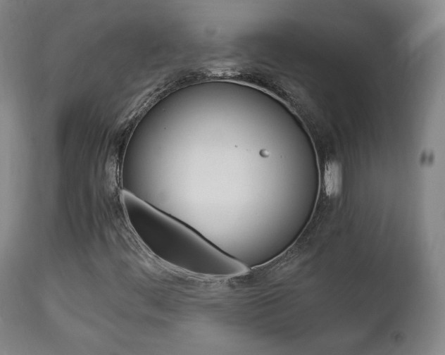 X0000112851444200908211019