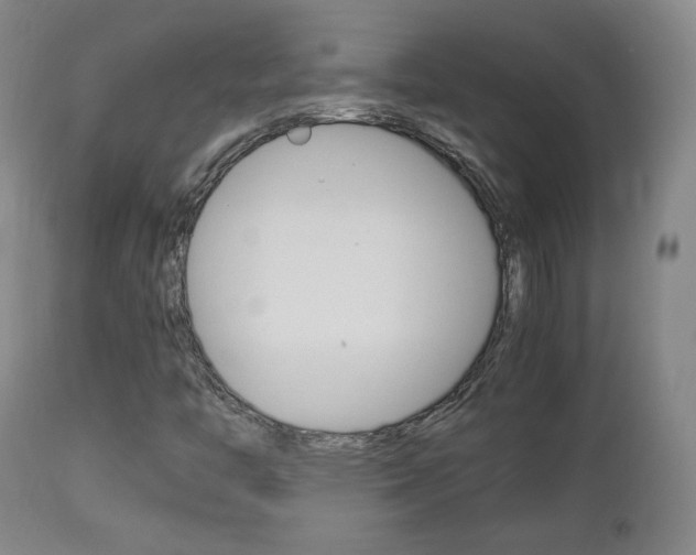 X0000112851446200908211019