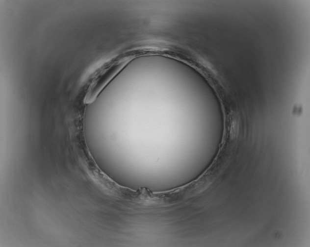 X0000112851448200908211019