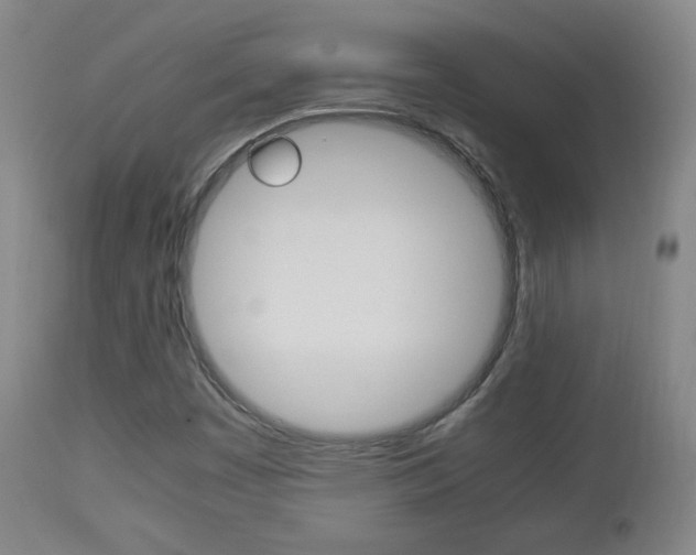 X0000112851449200908211019