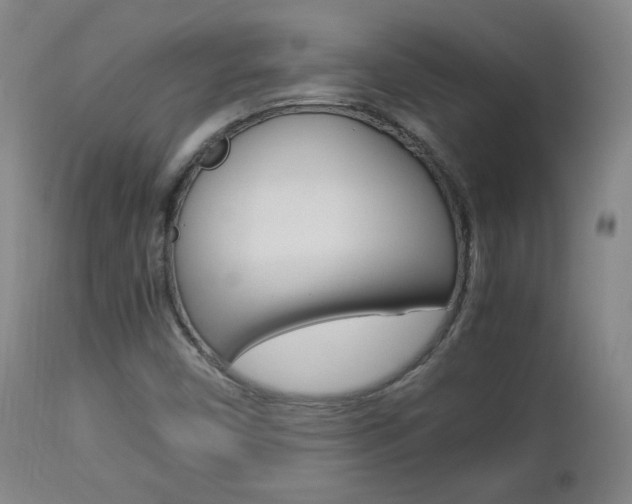 X0000112851450200908211019