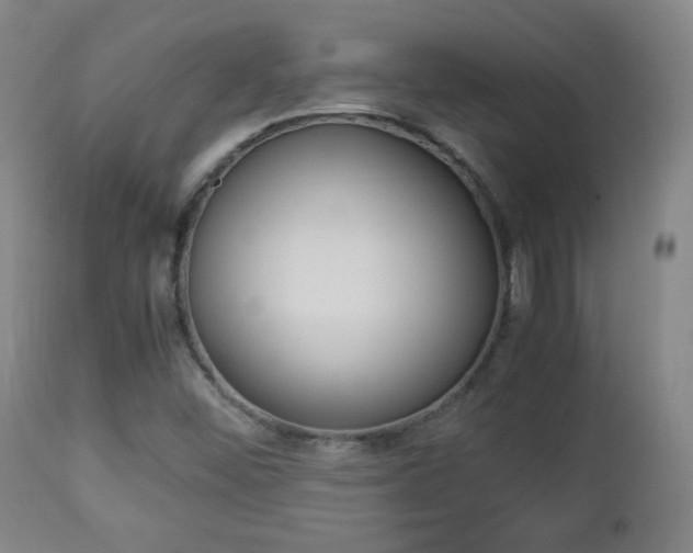 X0000112851452200908211019