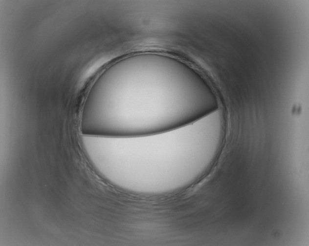X0000112851453200908211019