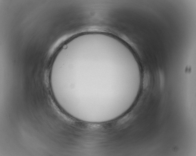 X0000112851454200908211019