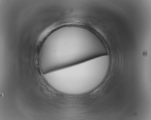 X0000112851455200908211019