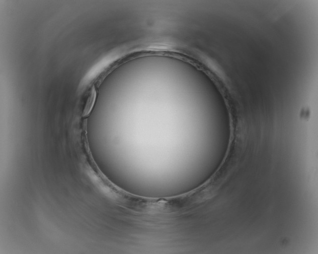 X0000112851456200908211019
