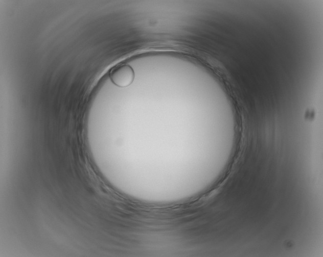 X0000112851457200908211019
