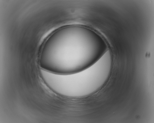 X0000112851460200908211019