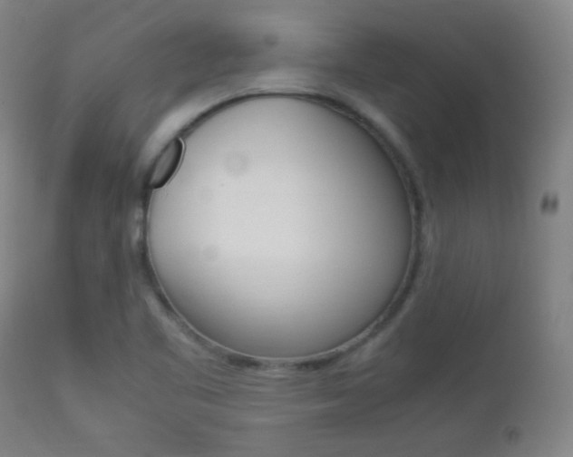 X0000112851461200908211019