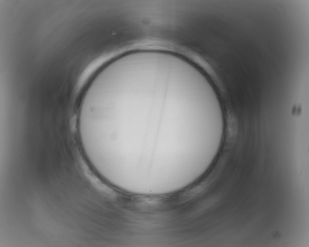 X0000112851462200908211019