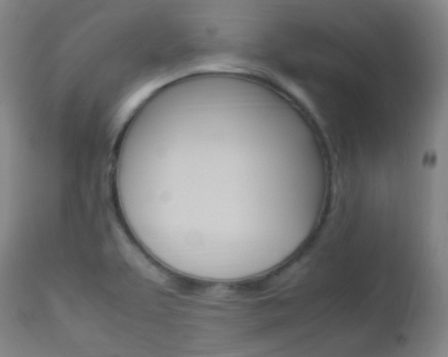 X0000112851463200908211019