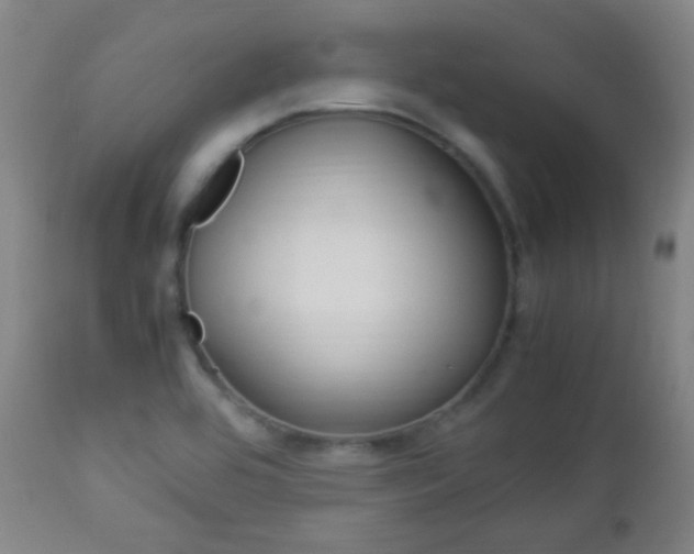 X0000112851464200908211019