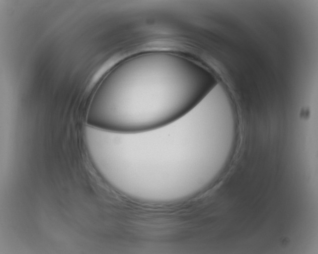 X0000112851465200908211019