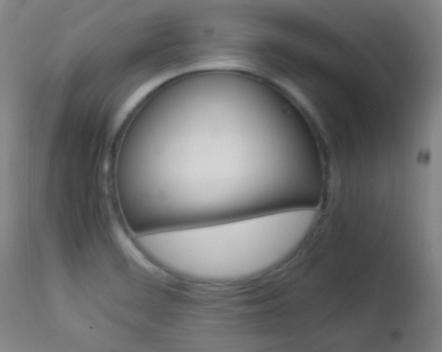X0000112851468200908211019