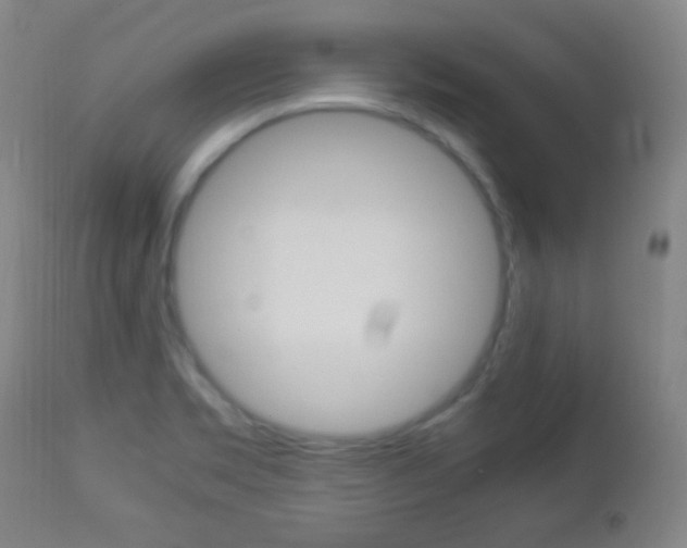 X0000112851469200908211019