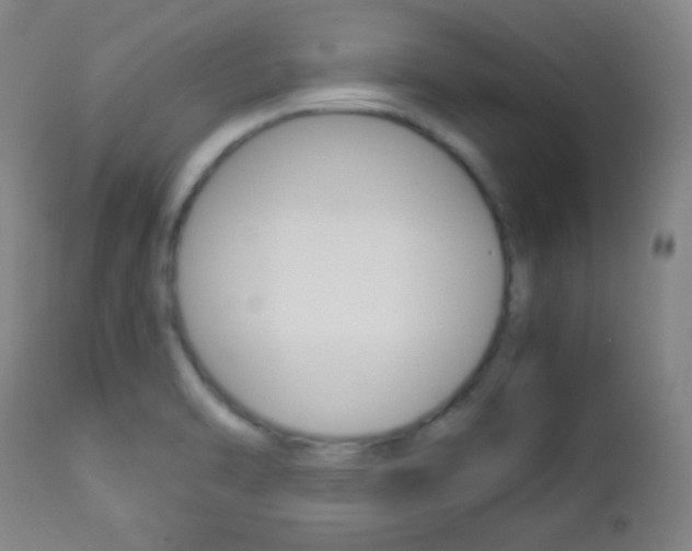 X0000112851470200908211019