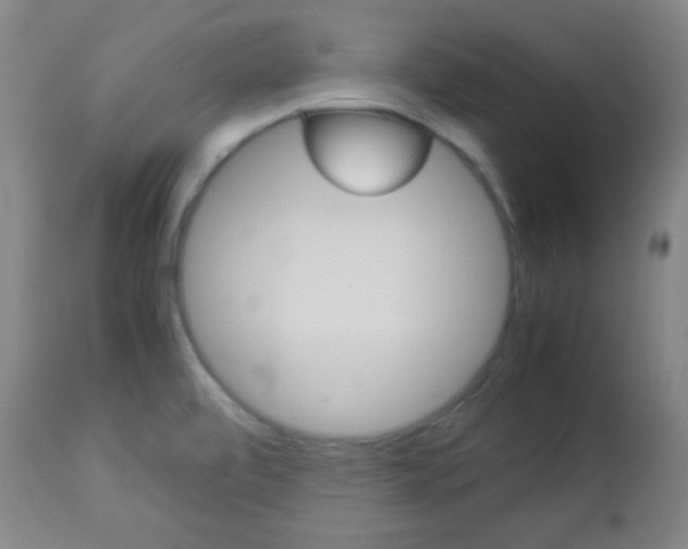X0000112851472200908211019