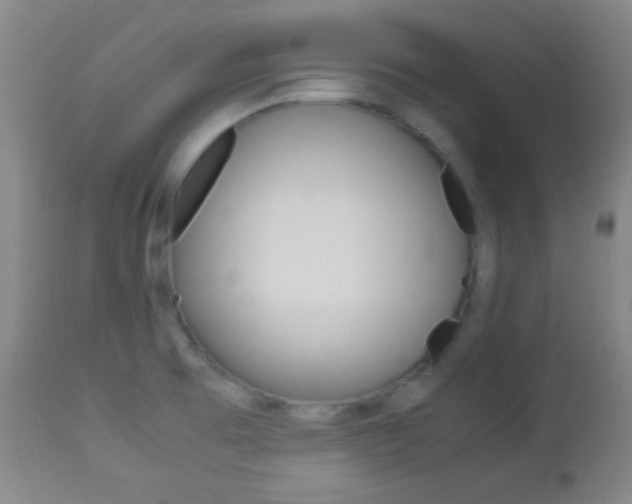 X0000112851473200908211019