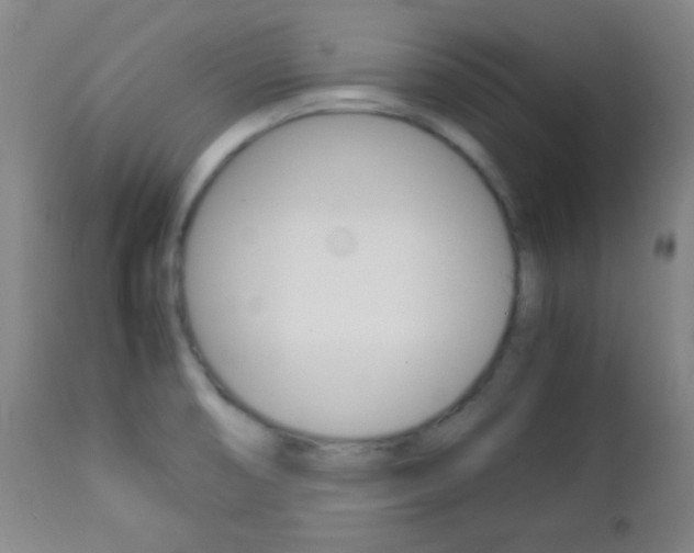 X0000112851474200908211019