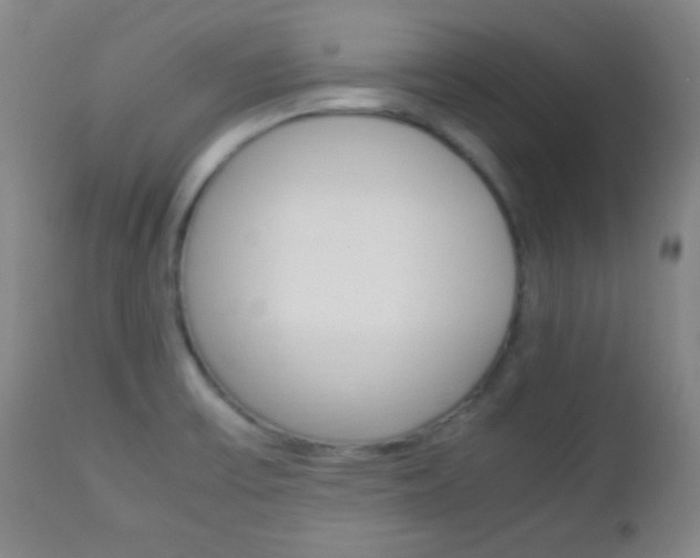 X0000112851475200908211019